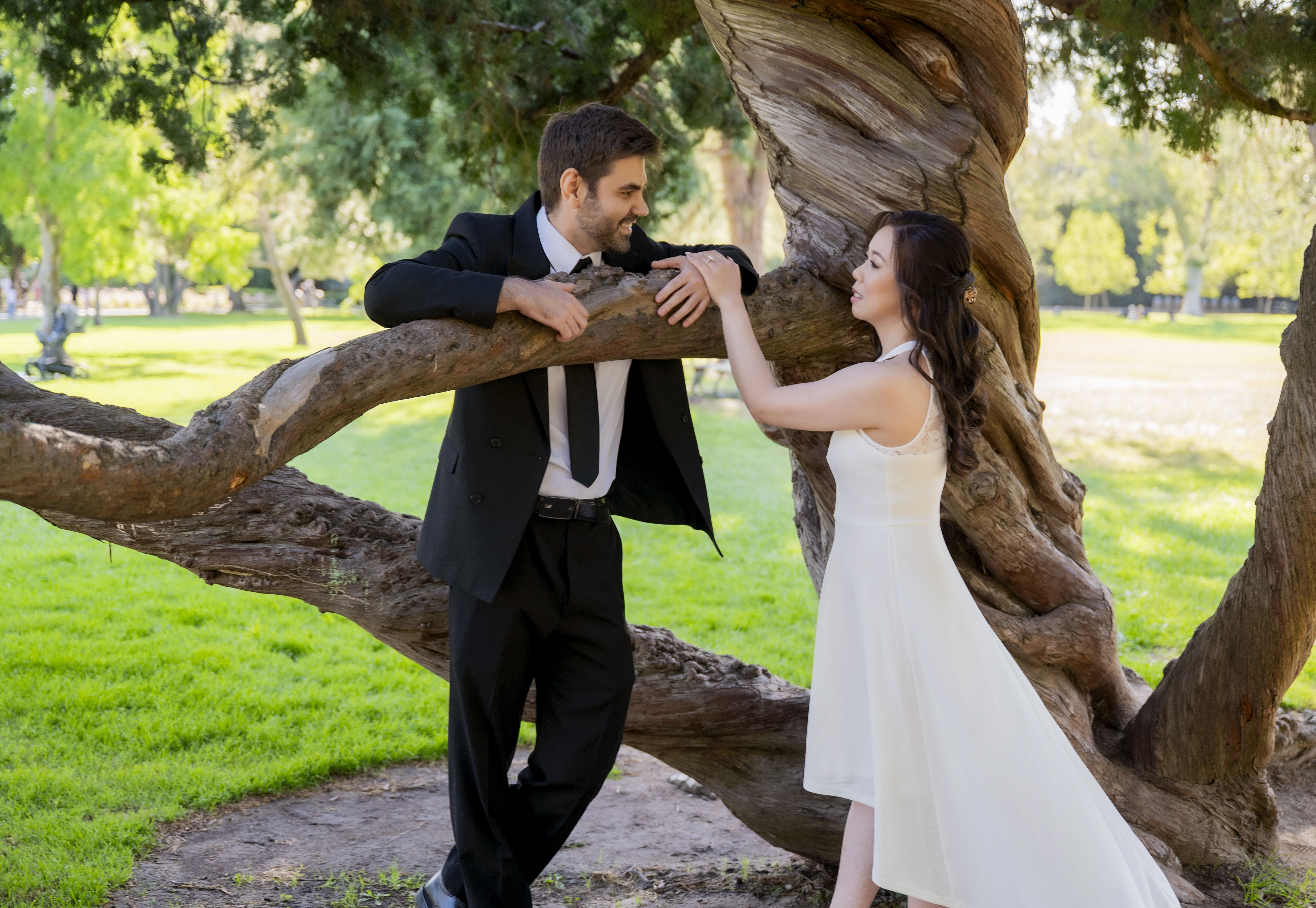 LIly and Andrew Tree