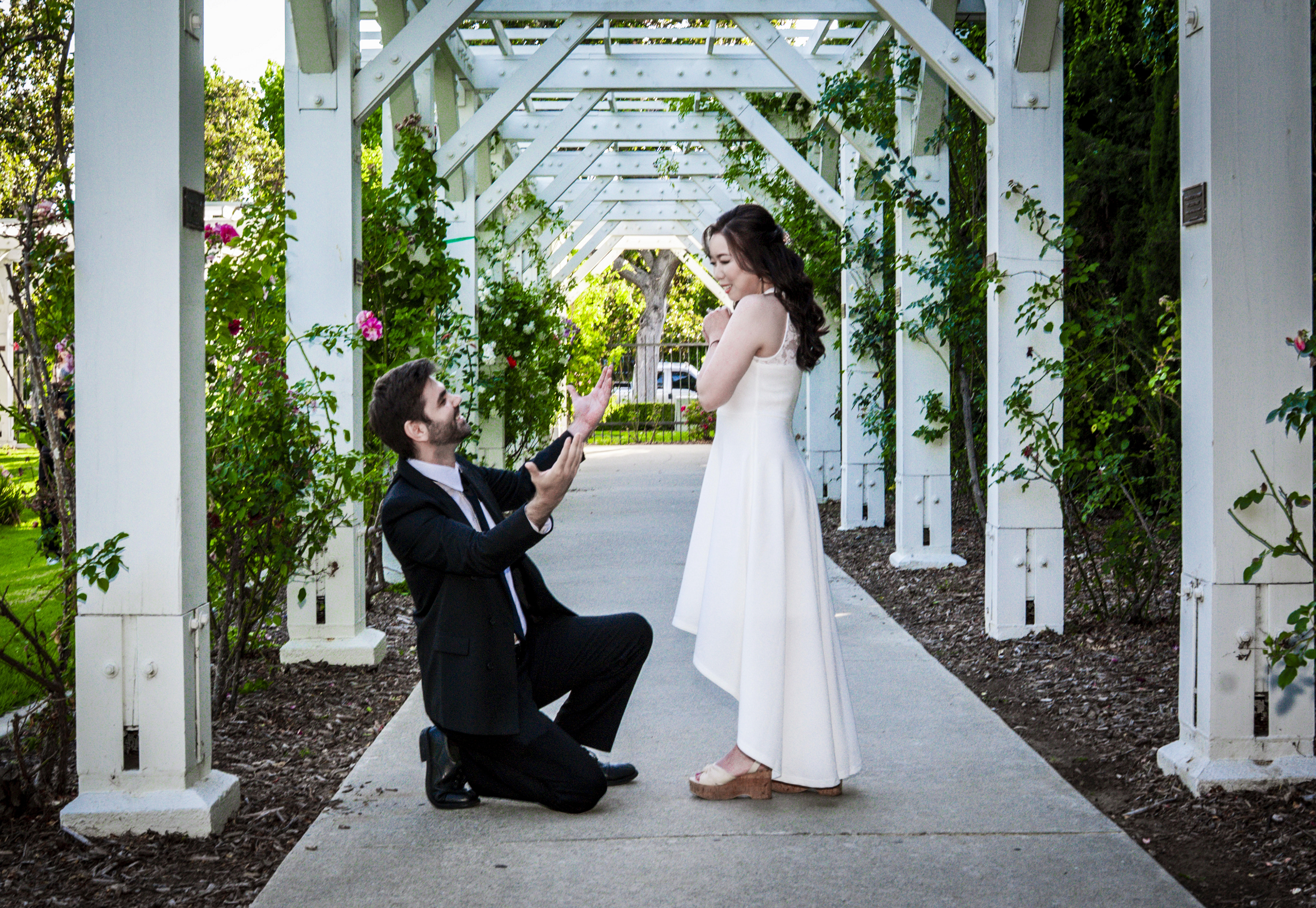 Lily and Andrew Propose